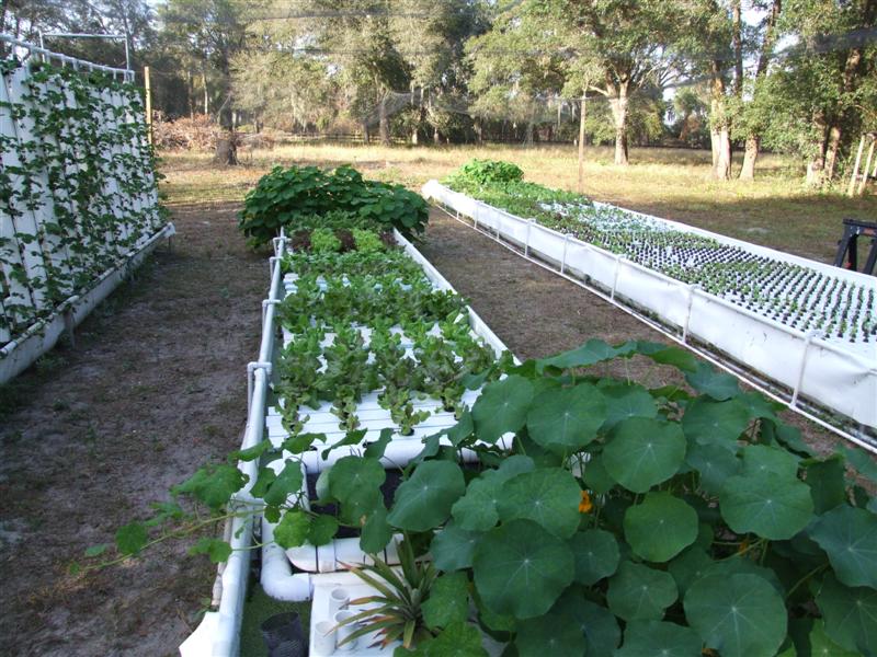 Rafts and towers (Medium).JPG