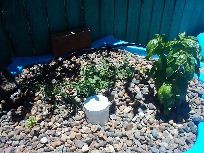 20121229_Garden Overview.jpg