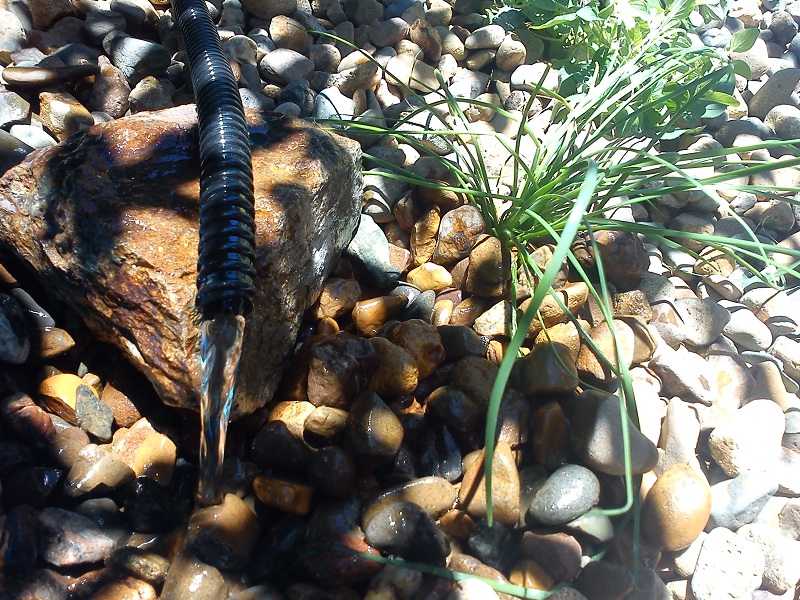 20121229_Garden Waterfall.jpg