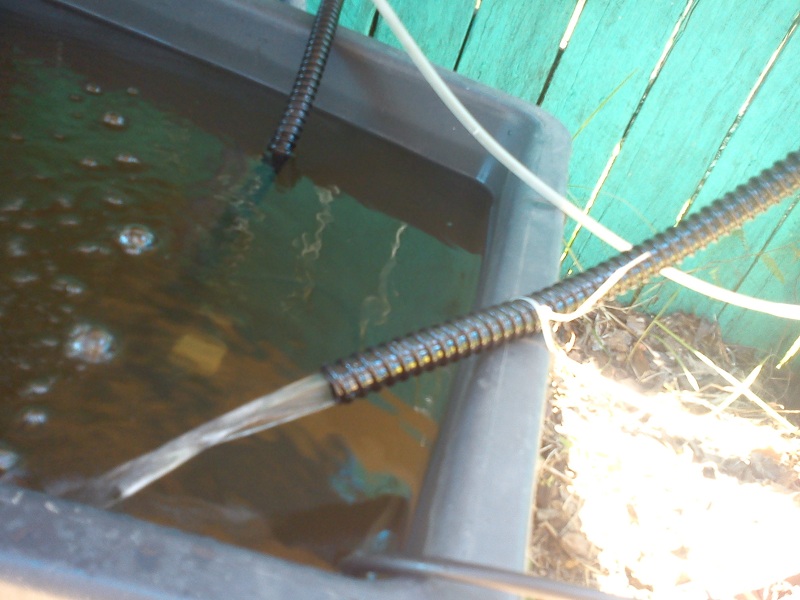 20121229_Garden Split Return.jpg