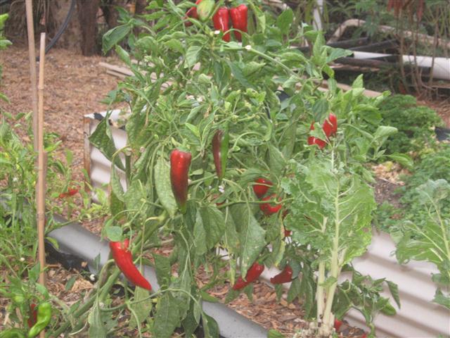 TODAY IS THE DAY 001 (Small).JPG