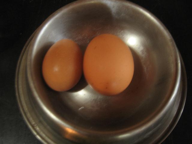 TODAY IS THE DAY 010 (Small).JPG