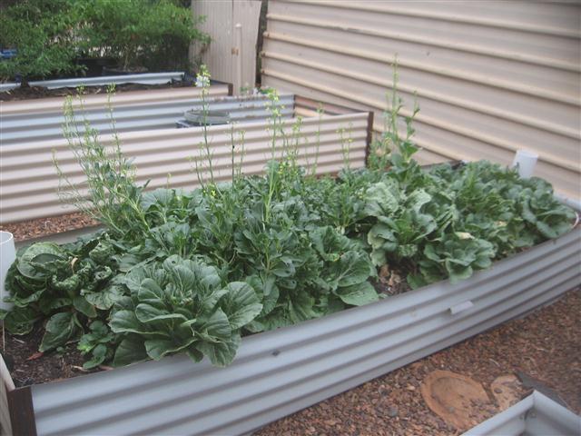 TODAY IS THE DAY 006 (Small).JPG