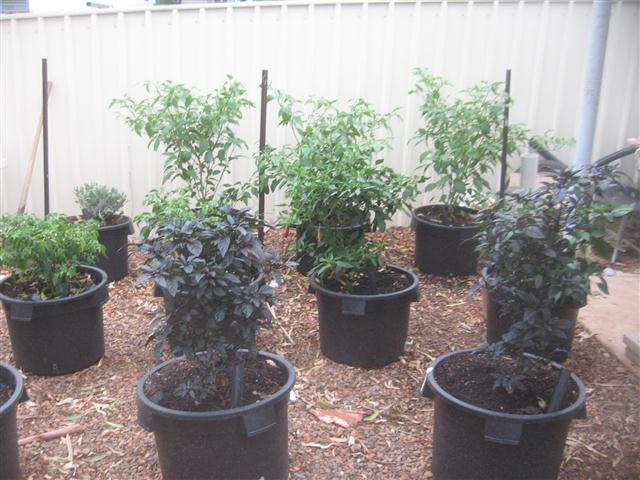 TODAY IS THE DAY 007 (Small).JPG