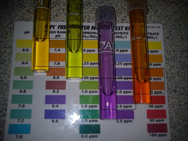 20121230_Water Test 7am.jpg