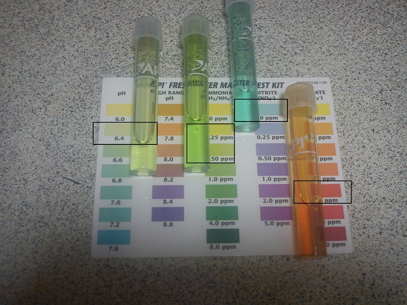 20121230_Water Test 7pm.jpg