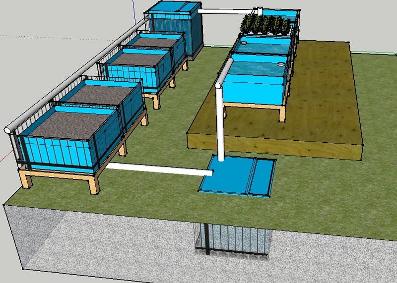 BioBalls in Sump 4 Raft 4 Media IBC FT.jpg