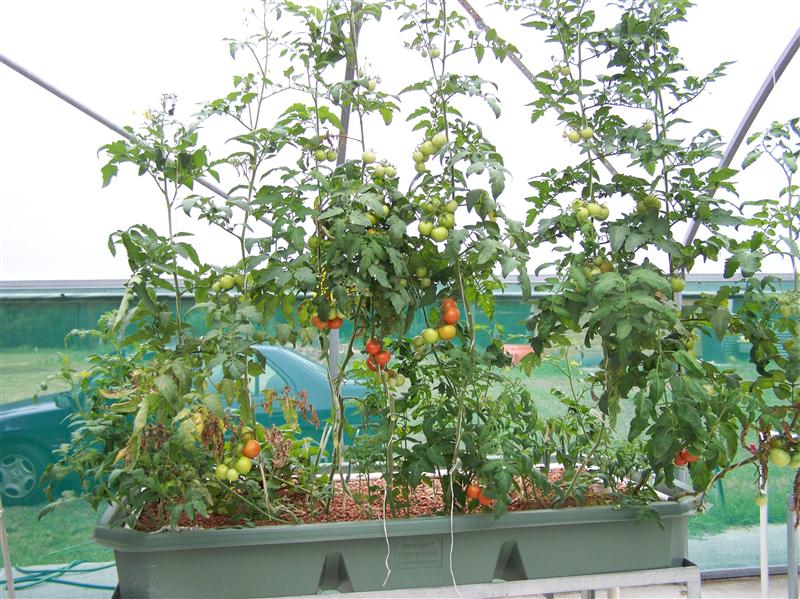 100_7469 (Custom).JPG