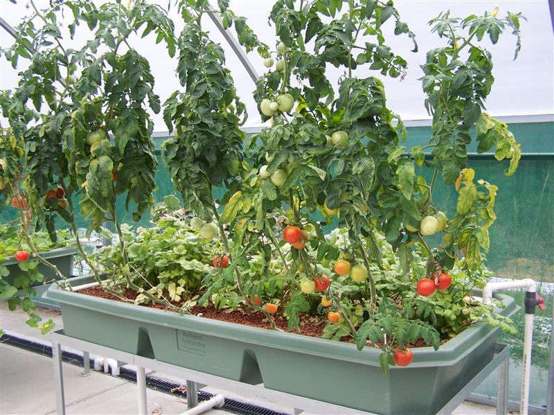 100_7470 (Custom).JPG