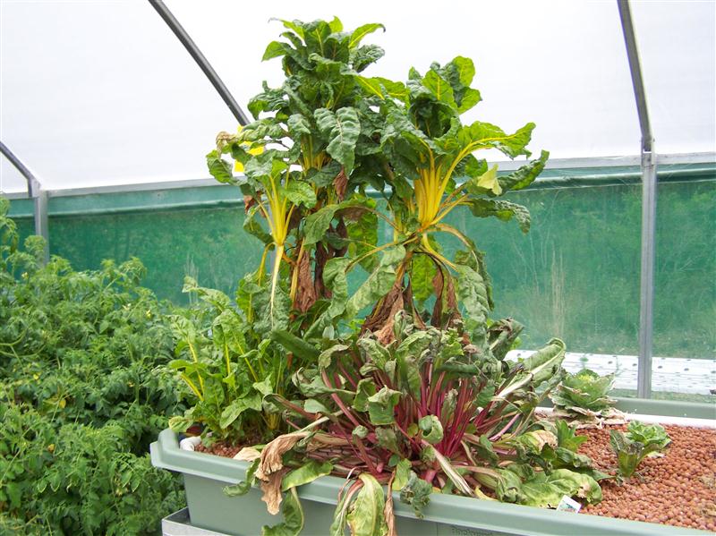 100_7471 (Custom).JPG