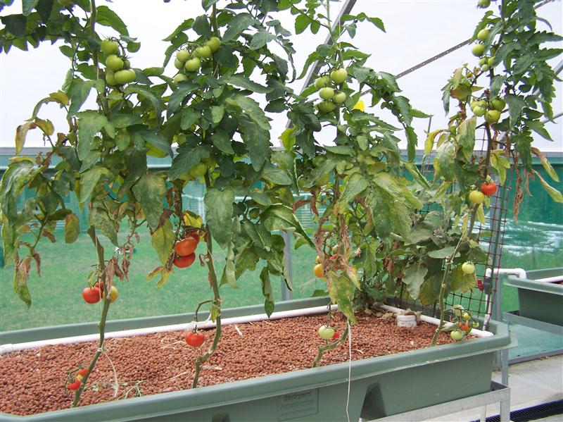 100_7472 (Custom).JPG