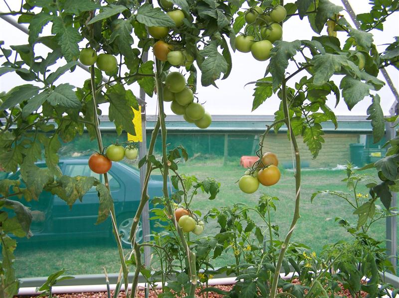 100_7473 (Custom).JPG