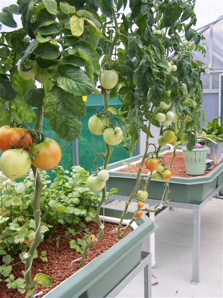 100_7474 (Custom).JPG