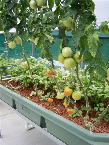 100_7475 (Custom).JPG