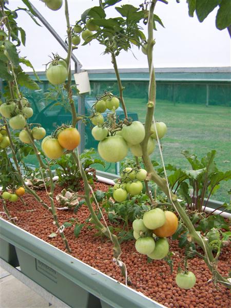 100_7476 (Custom).JPG