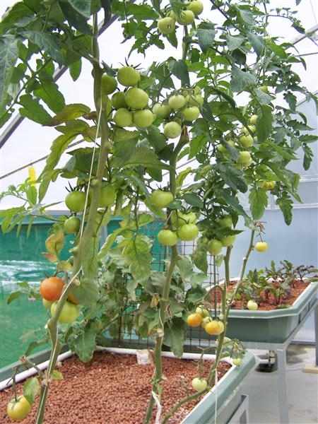 100_7478 (Custom).JPG