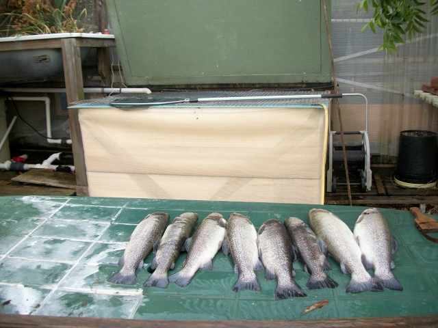 100_0251 (Small).JPG