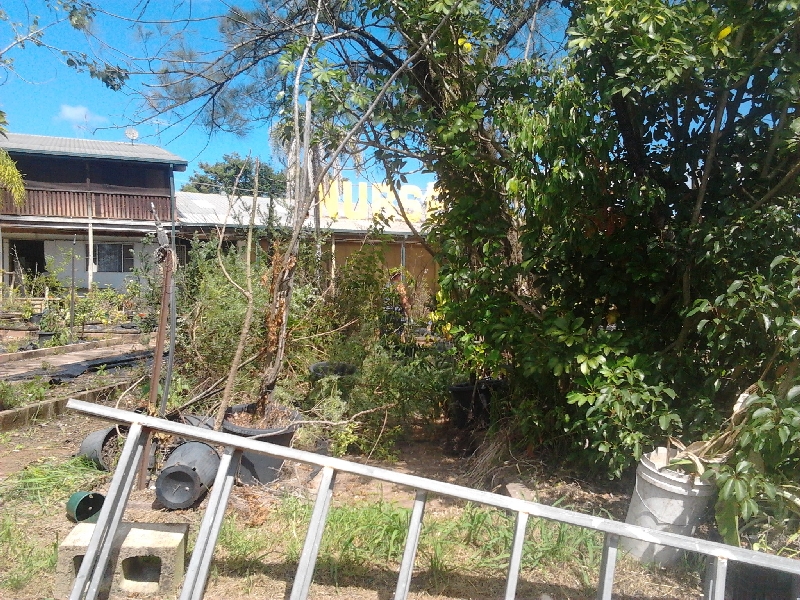 Nursery out the back 02.jpg