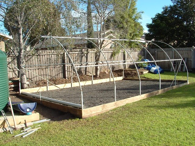 Zooponics July 07 287.jpg