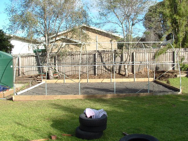 Zooponics July 07 290.jpg