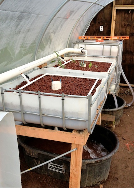 2013-01-01 15.28.39.jpg