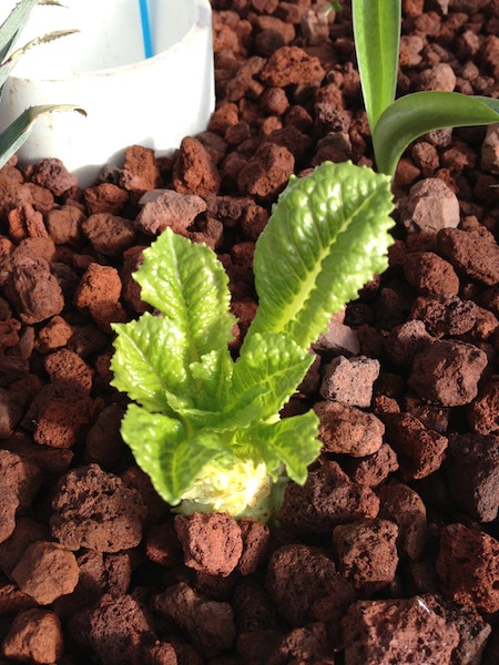 2013-01-01 12.49.36.jpg