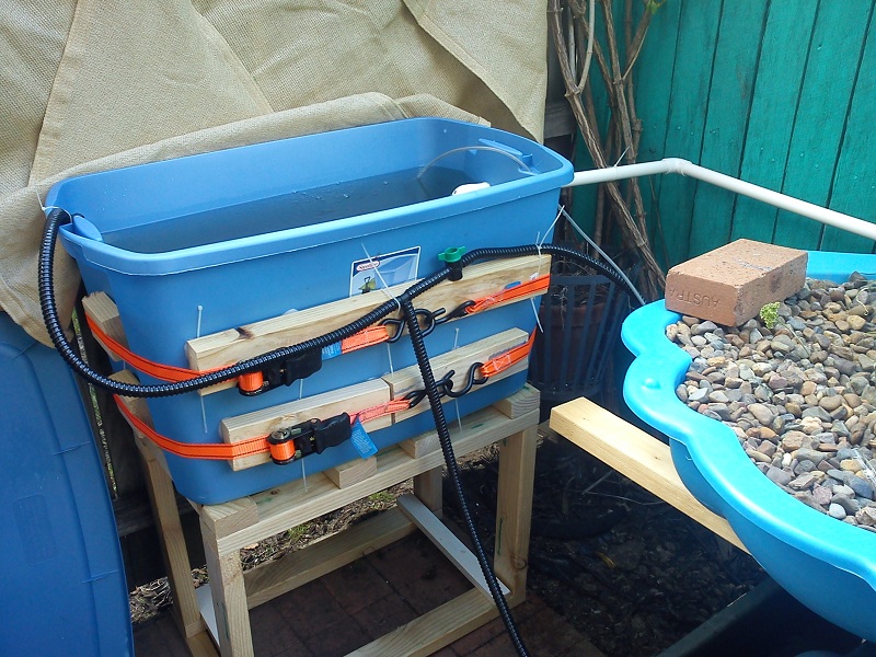 20130103_Added 140lt Fishtank (1).jpg