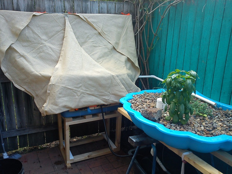 20130103_Added 140lt Fishtank (3).jpg