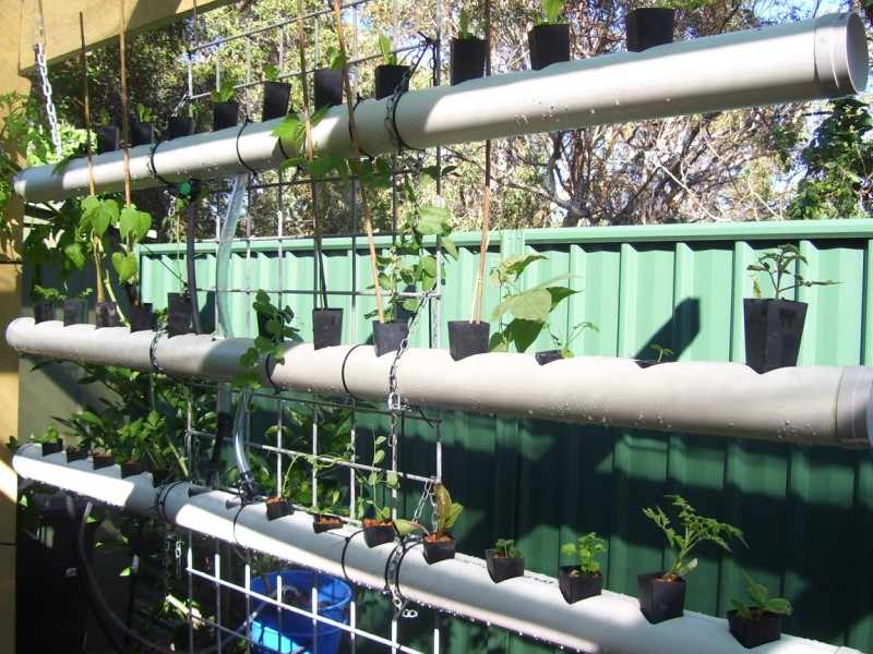 100_3517 (800 x 600).jpg