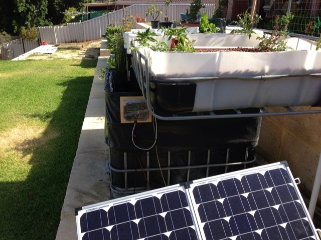 ImageUploadedByTapatalk HD1357288819.256050.jpg