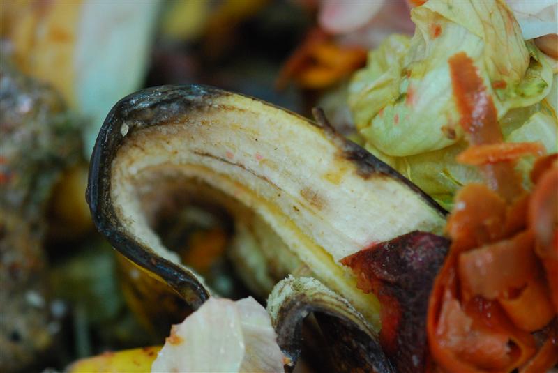 Biopod loaded and ready to go (Custom).jpg