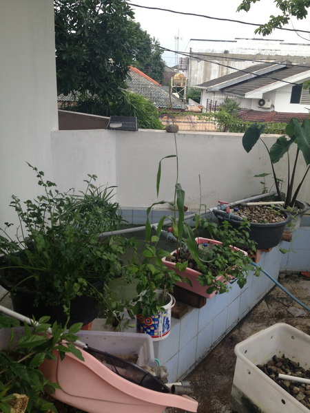 Picture 017_resize.jpg