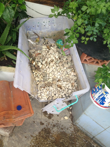 Picture 018_resize.jpg