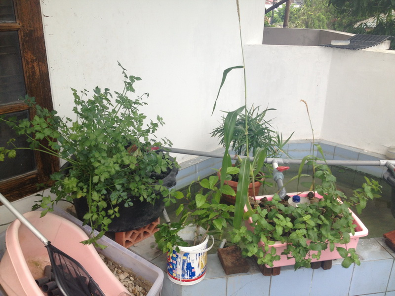 Picture 012_resize.jpg