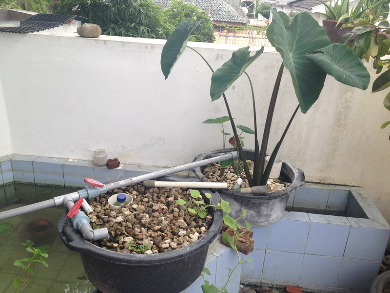 Picture 013_resize.jpg