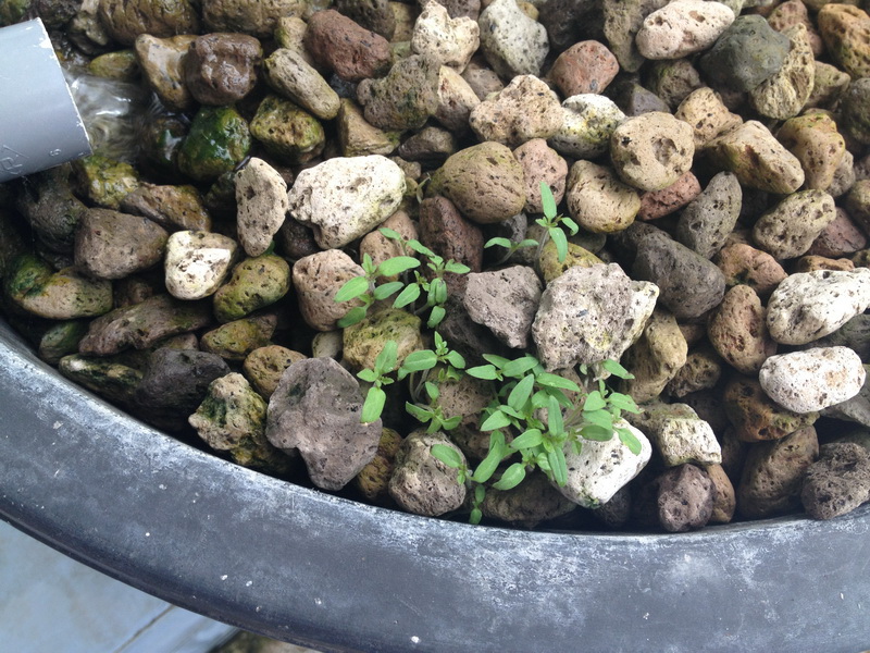 Picture 014_resize.jpg