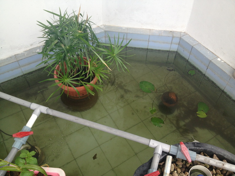 Picture 020_resize.jpg