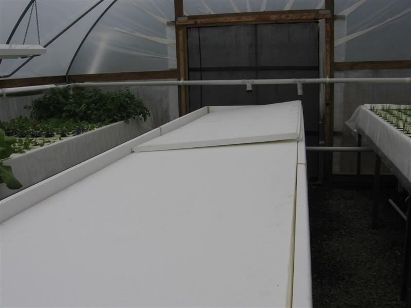 minna 004 (Medium).jpg