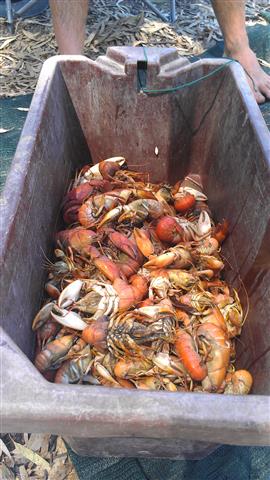 IMAG0202 (Small).jpg