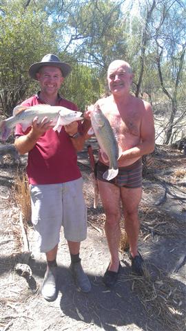 IMAG0221 (Small).jpg