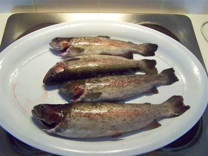 100_7485 (Custom).JPG