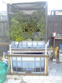 Shaded Growbed Jan2013 .jpg