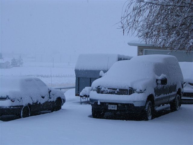 Snowfall Jan 2007 001.jpg