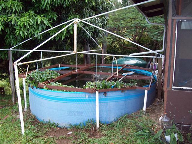 100_2593 (Medium) (Small).JPG