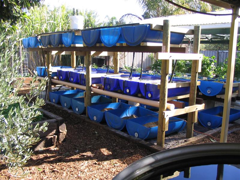 IMG_1820 (Medium).jpg