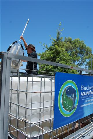 DSC_0504 (Small).JPG