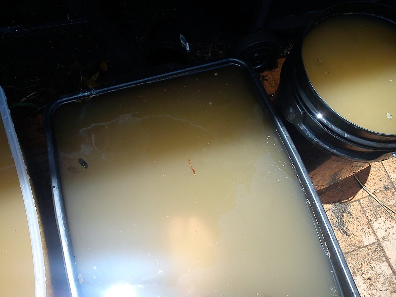 20130111_Gravel Washing Part the Second (1).jpg