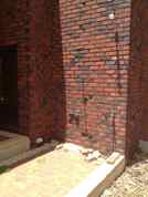 Wall Garden system1.jpg