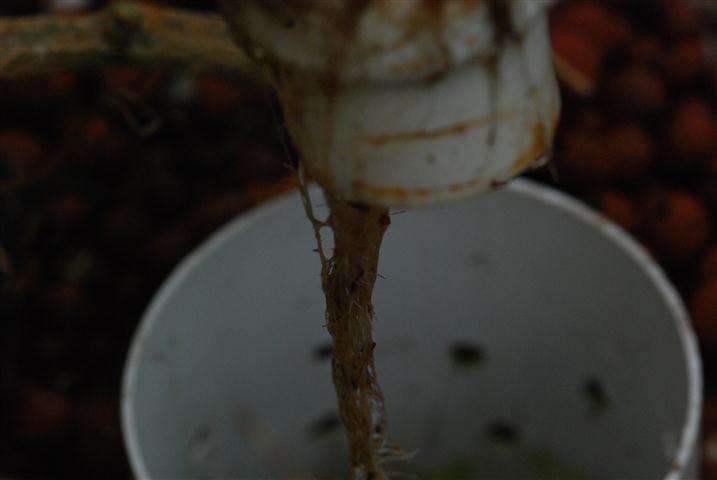 DSC_0020 (Small).JPG