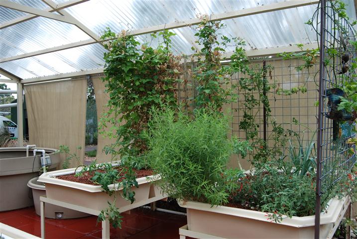 DSC_0028 (Small).JPG